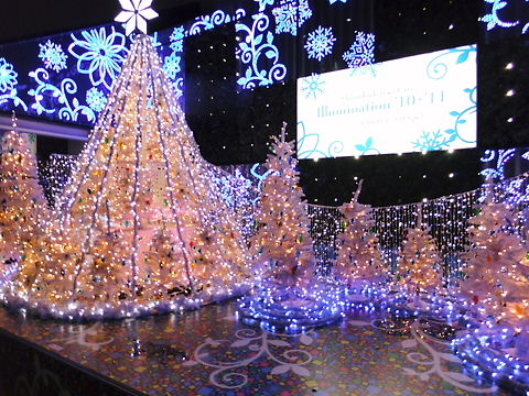 DSCF1085.JPG