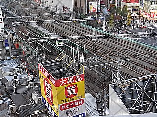 RIMG0450.JPG